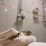 Unique Tikkuri