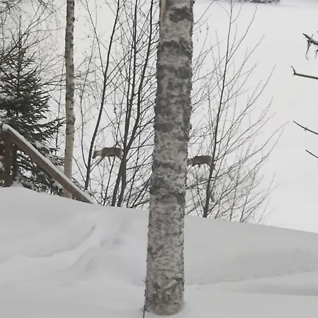 Semesterbostad Unique Tikkuri Rovaniemi