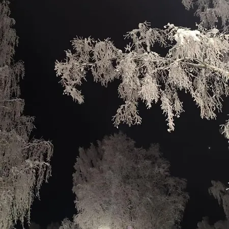 Unique Tikkuri Rovaniemi