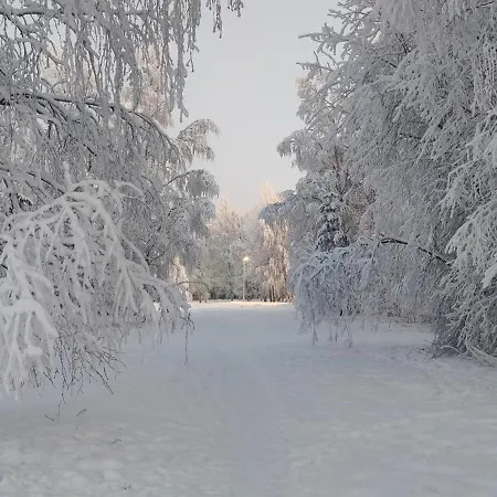 Unique Tikkuri * Rovaniemi