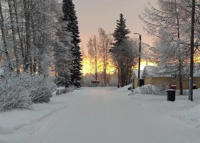 Unique Tikkuri 罗瓦涅米