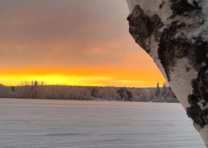 Unique Tikkuri 度假居 罗瓦涅米