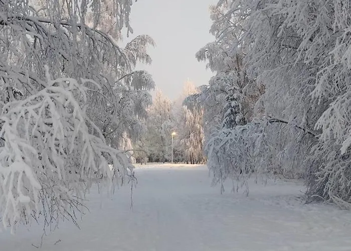 Unique Tikkuri * 罗瓦涅米